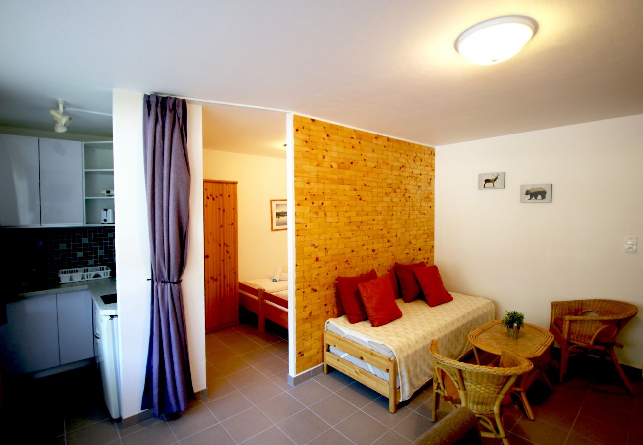 Studio in Kaprun - Mountain Breezes Studio- Top 3